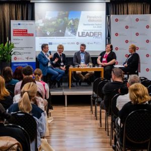 LEADER_road_06 panelova